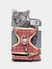 Красный шлейка c поводком для кошек