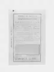 Семена Индау(руккола) ШИРОКОЛИСТНАЯ 0,3 гр. ООО"Агрофирма АЭЛИТА"