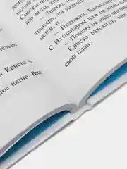"Человек-амфибия"/Беляев А.Р./Самовар