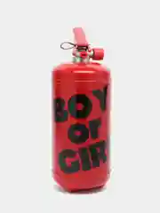 Набор для праздника "Гендер баллон" мальчик или девочка, Boy or Girl, гендер огнетушитель