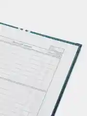 Манго дневник школьный в твердой обложке
