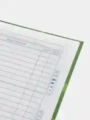 Зеленый дневник школьный для младших классов