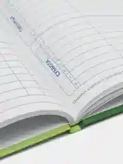 Зеленый дневник школьный для младших классов