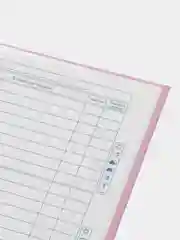 Розовый дневник школьный для младших классов