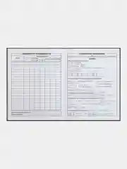 Дневник школьный 1-11 класс ОБЫКНОВЕННЫЙ в тв.переплёте, А5+, 48 л.