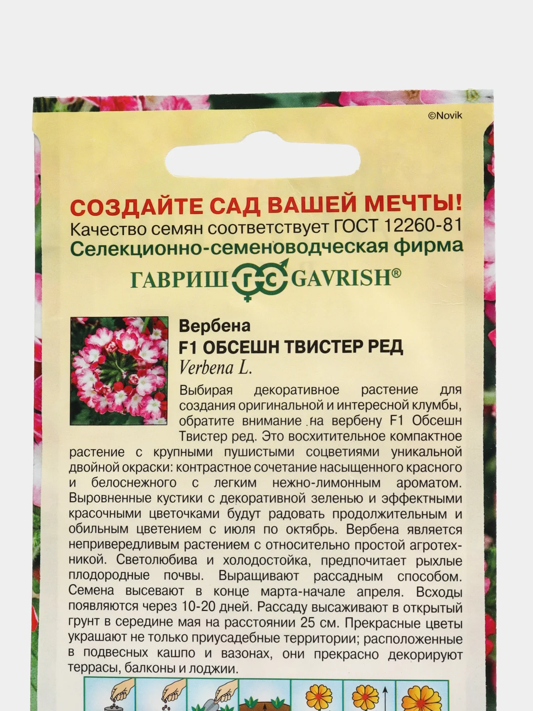 Вербена "Обсешн Твистер ред F1", семена, цветы