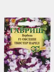 Вербена Обсешн Твистер парпл F1, семена, цветы