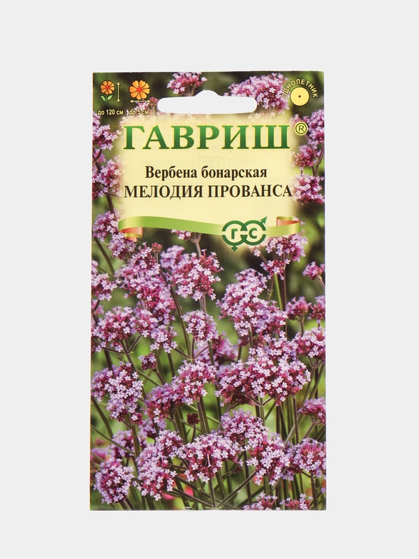 Вербена бонарская Мелодия Прованса (семена,цветы)
