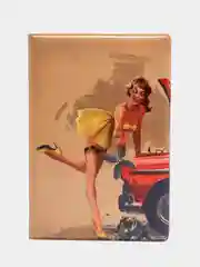 Карамельный обложка для автодокументов