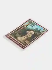 Икона преподобного Серафима Саровского, с молитвой, ламинированная