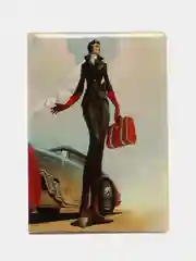 Алый обложка для автодокументов
