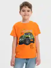 Рыжий футболка для мальчика, с принтом, хлопок, 4 - 8 лет