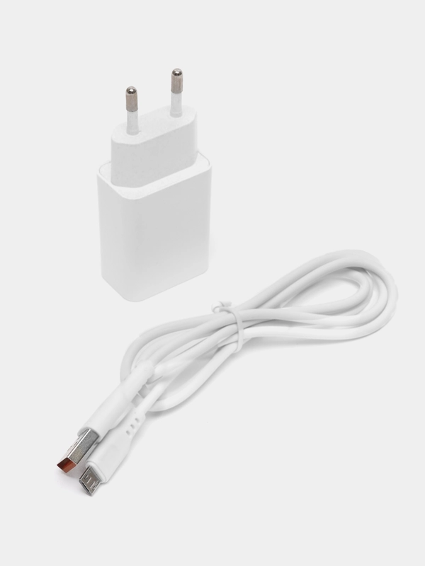 Зарядное устройство Denmen и кабель MicroUSB, 2,4A