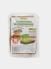 Микрозелень на подоконнике - набор для выращивания
