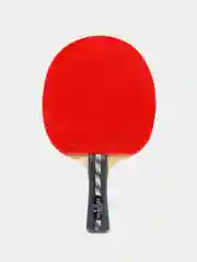 Ракетка Fellow 300, профессиональная, для соревнований, ITTF (чехол, 2 шарика)