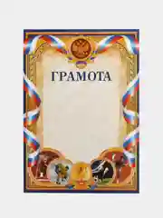 Оранжевый грамота, формат А4