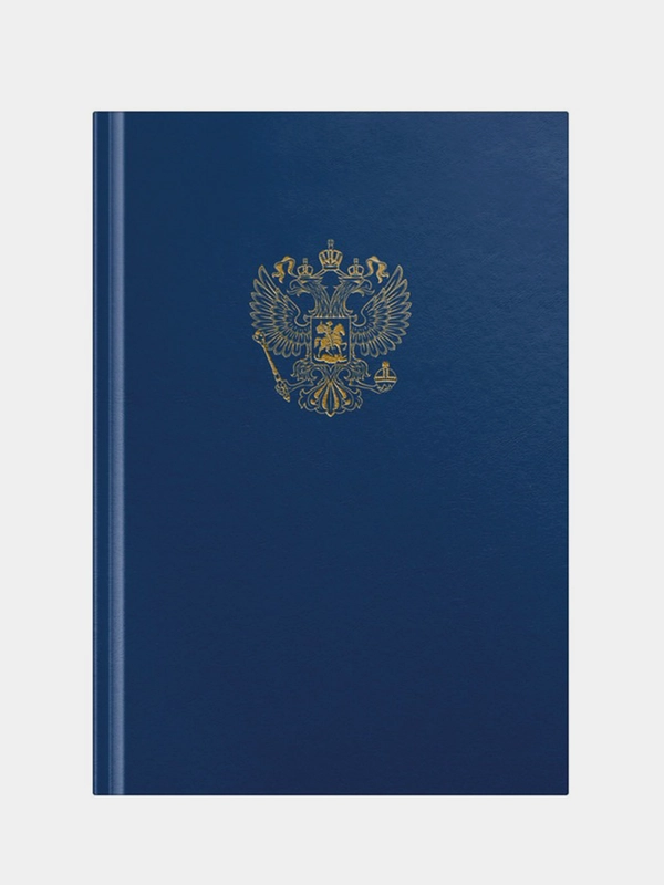 Книга учета OfficeSpace, А4, 96 л., клетка, 200*290мм, бумвинил, блок офсетный