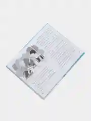 Книга детская для чтения "Истории для школьников" С. Сорока, А5 96 стр. Проф-Пресс
