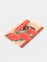 Манго открытки выпускникам