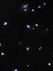 Белый гирлянда-штора