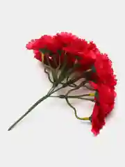 Голубой головы цветов