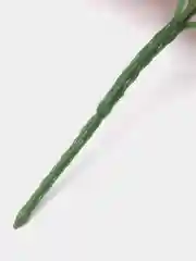 Голубой головы цветов