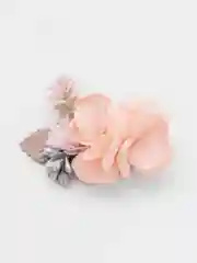Розовый заколка для волос