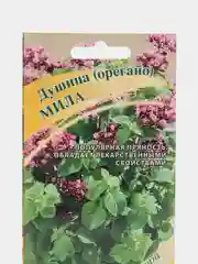 Душица "Мила", орегано семена