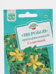 Зверобой продырявленный "Солнечный", семена