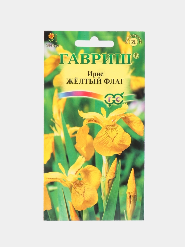 Ирис "Желтый флаг" (болотный), семена, цветы
