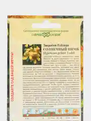 Зверобой Геблера "Солнечный нимб", семена