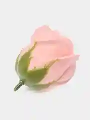 Белый мыльные розы, 50 штук