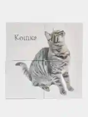 Коричневый кубики детские пластмассовые  с картинками "Лесные / домашние животные"