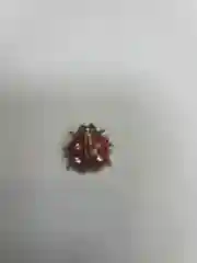 Красный брошь "Божья коровка"
