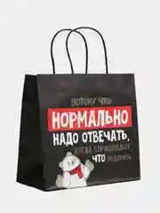 Пакет подарочный, крафт, с приколами, 22*22*11 см
