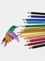 Карандаши цветные стираемые с резинкой Carioca Erasable, 12 цв, пластик, заточенные, 42897