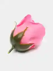 Разноцветный мыльные розы, 50 штук