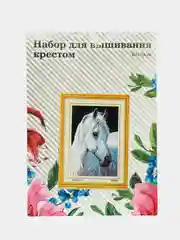 Прозрачный вышивка крестом, 40 х 50