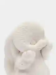 Вишнёвый гипсовые фигурки, сувенир