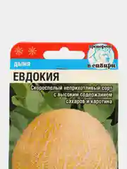 Семена, Дыня Евдокия, 7 штук