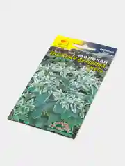 Молочай Снежная Вершина, семена, цветы