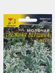 Молочай Снежная Вершина, семена, цветы