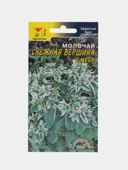 Молочай Снежная Вершина, семена, цветы