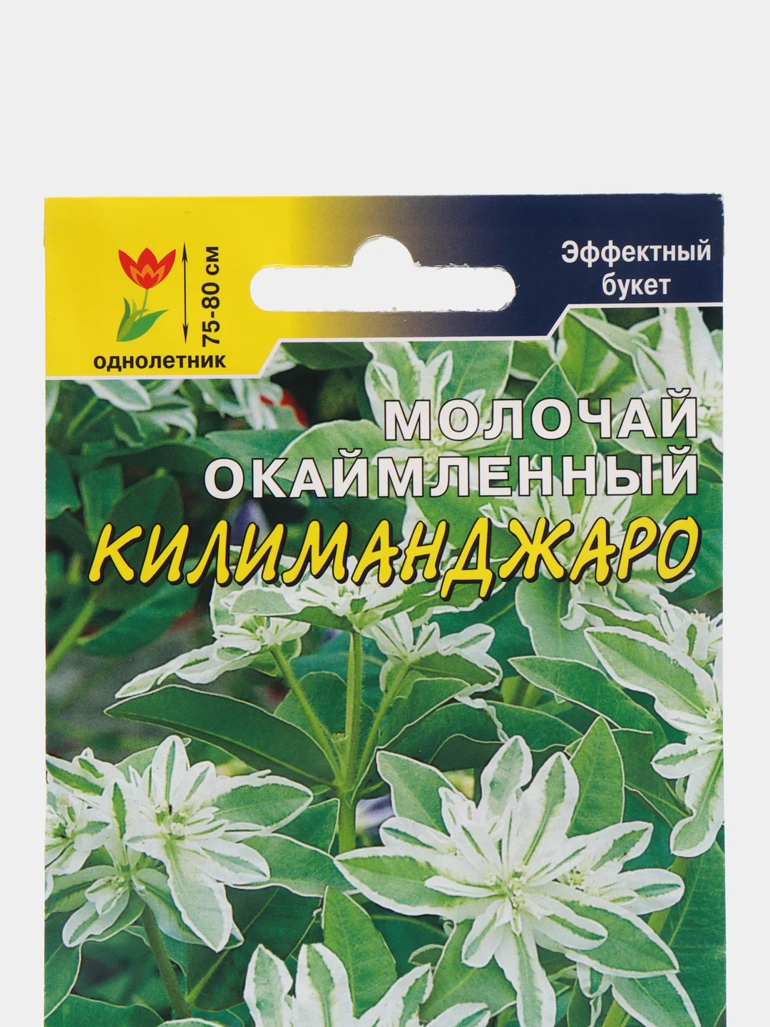Молочай Килиманджаро (Эуфорбия), семена, цветы