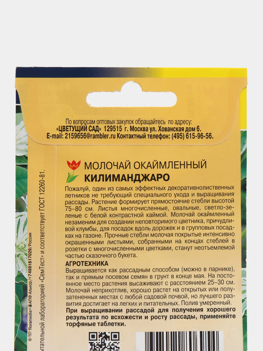 Молочай Килиманджаро (Эуфорбия), семена, цветы
