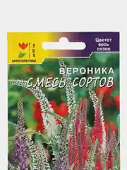 Вероника Смесь сортов, семена, цветы