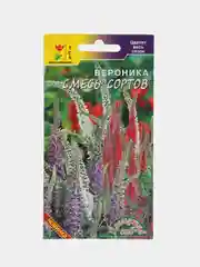Вероника Смесь сортов, семена, цветы
