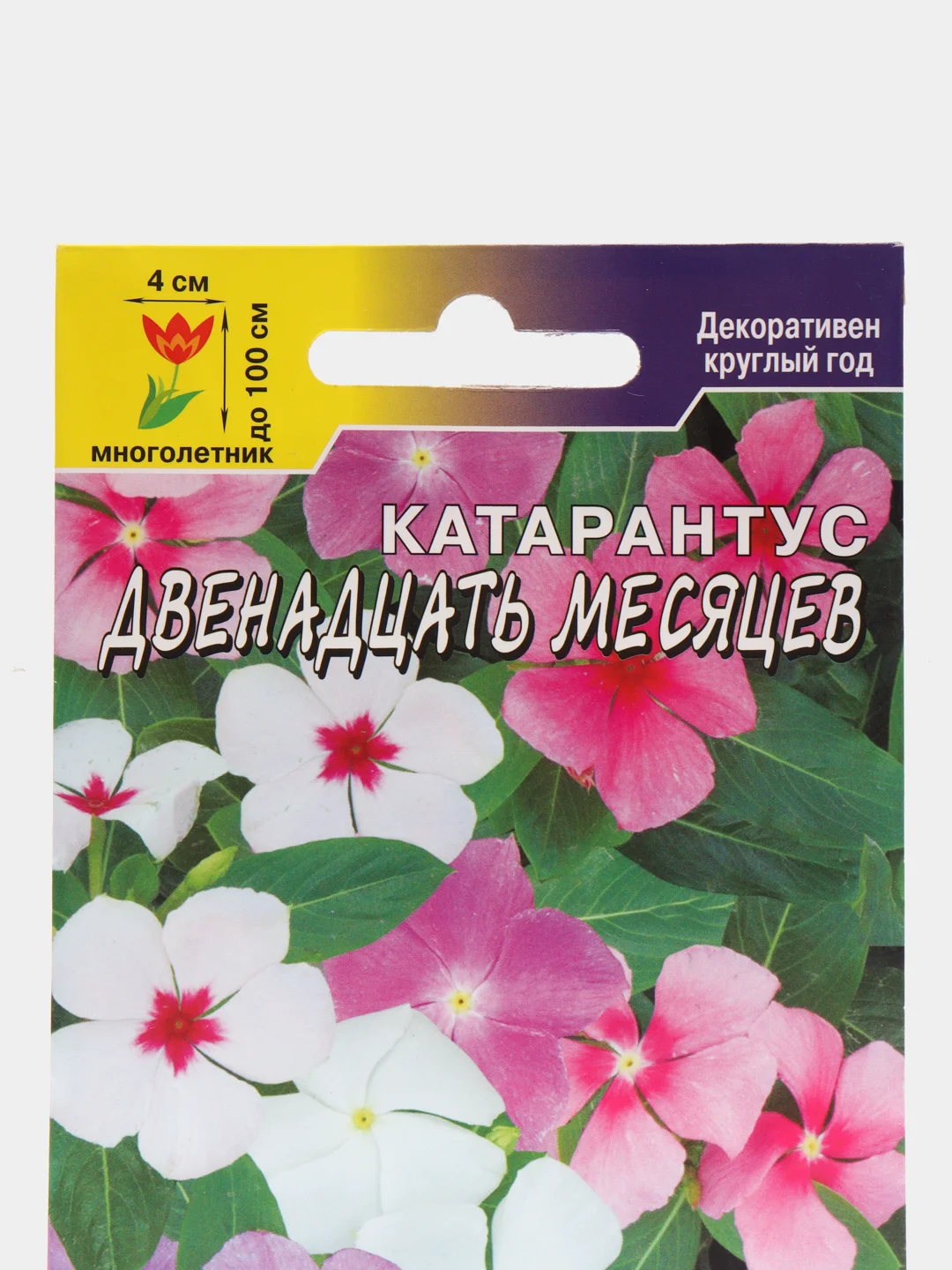 Катарантус Двенадцать месяцев комнатный, семена, цветы