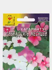 Катарантус Двенадцать месяцев комнатный, семена, цветы