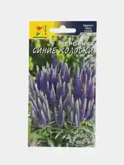 Вероника "Синие колоски" (семена, цветы)